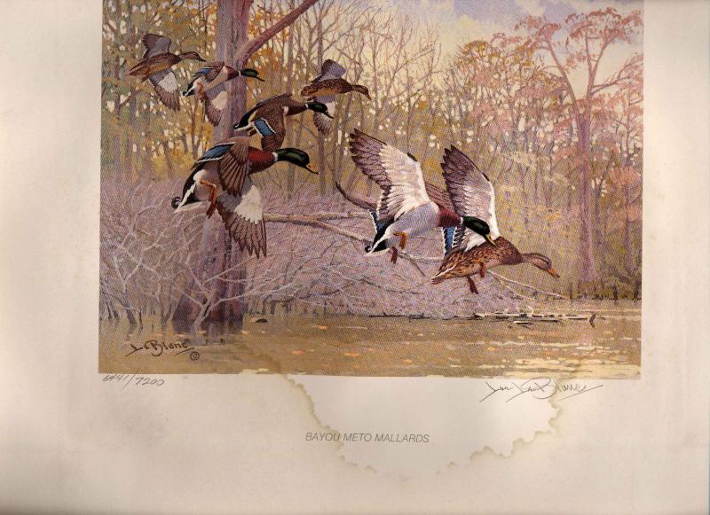 ARKANSAS #1 1981 DUCK STAMP PRINT MALLARDS  Water Damaged Lee LeBlanc