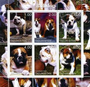 Tajikistan 2000 DOGS BULLDOG Sheet Perforated Mint (NH)