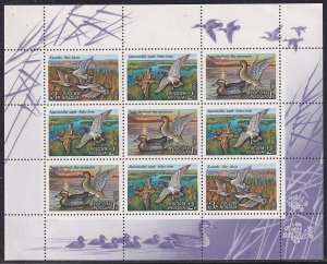 Russia 1992 Sc 6092a Various Native Ducks Stamp MS MNH