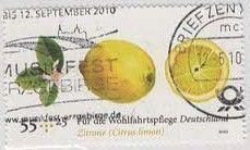 Germany B1028 used SCV 2.00