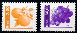 [65195] Brazil 1981 Flora Fruit Grapes  MNH