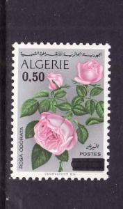 D4-Algeria-Sc#531-unused NH-Flowers-Roses-1975-