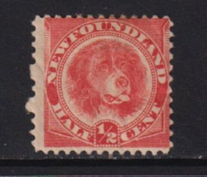 Newfoundland - #57 mint, cat. $ 80.00