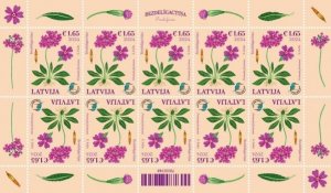 Latvia Lettland 2024 Nature Fund Bird’s-eye Primrose flower sheetlet MNH