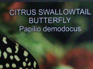 ​FERR ISLAND STAMP-2010 COLORFUL BEAUTIFUL LOVELY BUTTERFLY MNH MINI SHEET-VF