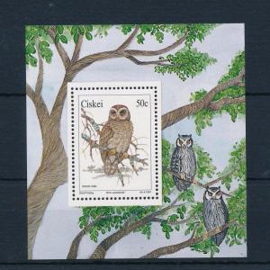 [52380] Ciskei 1991 Birds Vögel Oiseaux Ucelli Owls MNH Sheet