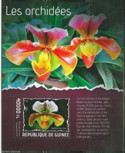 GUINEA  2014 ORCHIDS  SOUVENIR SHEET MINT NH