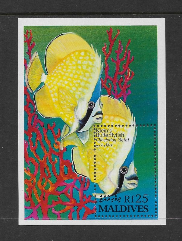 FISH - MALDIVES #1869A  KLEIN'S BUTTERFLYFISH  MNH