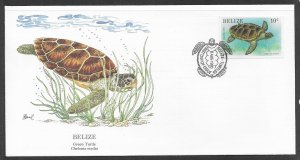 Sc 945 Belize Green Turtle L46