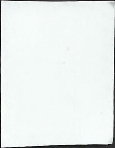 # 5678 Used Mountain Flora