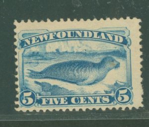 Newfoundland #55 Unused Single