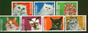 258 - Nicaragua 1984 - Cats - Used Set