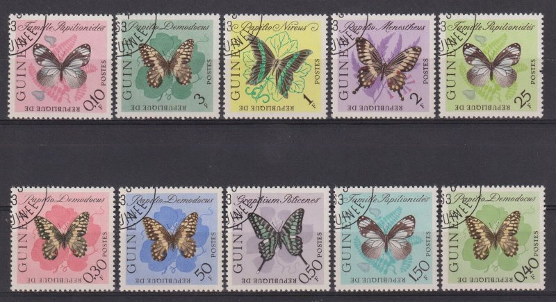 4. Guinea butteflies