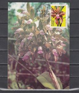 Brazil, Scott cat. 2121. Orchid value on a Maximum Type Card.