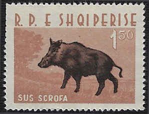 Albania #641 MNH; Wild Boar (1962)