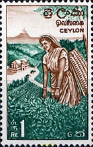 674402 MNH CEILAN 1964