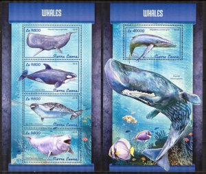 Sierra Leone 2018 Marine Life Whales sheet + S/S MNH