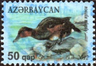 Azerbaijan 997 - Used - 50g Ferruginous Duck (2012) (cv $1.75)