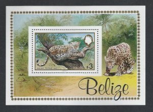 Belize souvenir sheet mnh sc 693