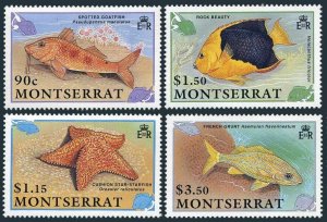 Montserrat 758-761,MNH.Michel 795-798. Fish 1991.Spotted goat-fish,Cushion star,