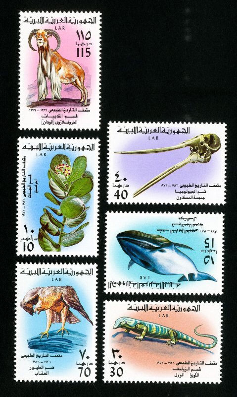 Libya Stamps # 613-17 VF Scarce set OG LH