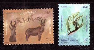 2023- Algeria- Envinronment Conservation- Posidonia - Hartebeest- Fauna & Flora