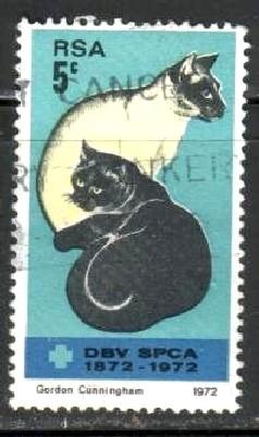 Cat, South Africa stamp SC#373 used