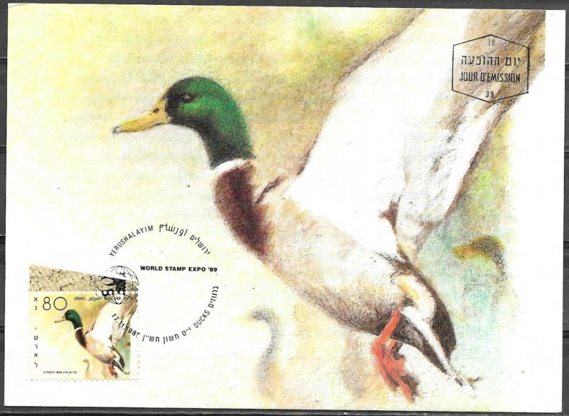 Israel 1989 Ducks Of Israel Mallard Maximum Card 