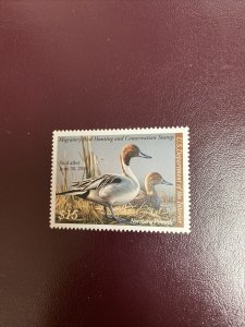 RW75 2008 - US Federal Duck Stamp - Mint OG NH