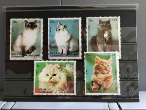 Sharjah Beautiful  Cats stamps   R25323 