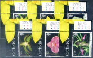 Jersey. Flora. Orchid 2004.