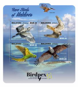 Z08 MLD171003a Maldives 2017 Rare birds MNH ** Postfrisch