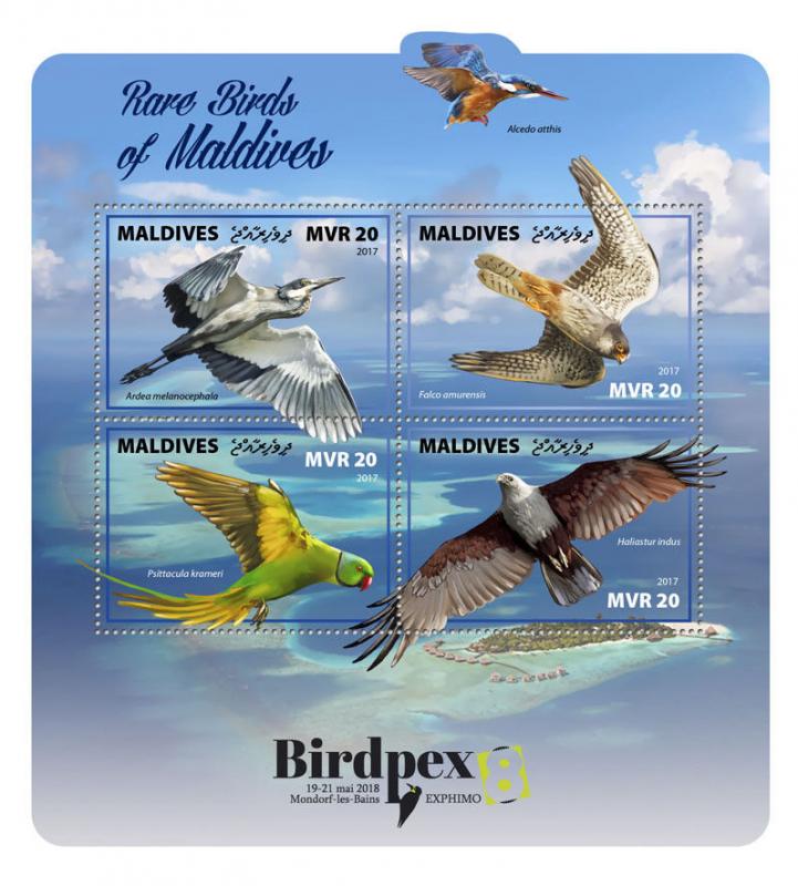 Z08 MLD171003a Maldives 2017 Rare birds MNH ** Postfrisch