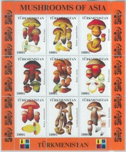 M1928 - TURKMENISTAN, MINIATURE SHEET: Mushrooms of Asia