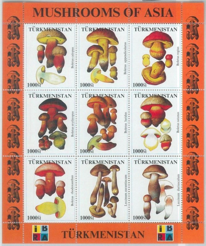 M1928 - TURKMENISTAN, MINIATURE SHEET: Mushrooms of Asia