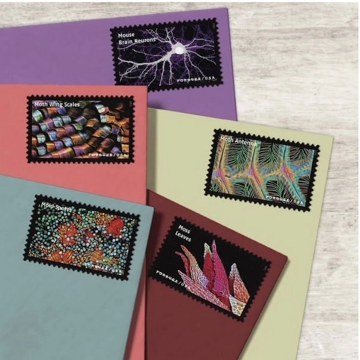 Life Magnified  forever stamps  5 sheets of 20PCS, total 100pcs