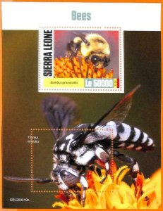 A6825 - SIERRA LEONE, Error, 2020, MISSPERF SUN LEAF: Bees, Insects-