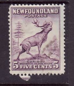 Newfoundland- Sc#257-used 5c Caribou-id3-1941-44-