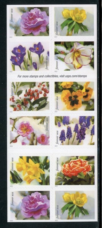 UNITED STATES SCOTT #5727/36 SNOWY BEAUTY COMPLETE BOOKLET  MINT NH