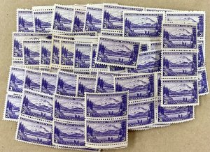 800   Alaska Territory.  100 MNH 3 cent, singles pairs and blocks.  Issued 1937.