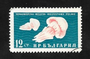 Bulgaria 1961 - U - Scott #1165