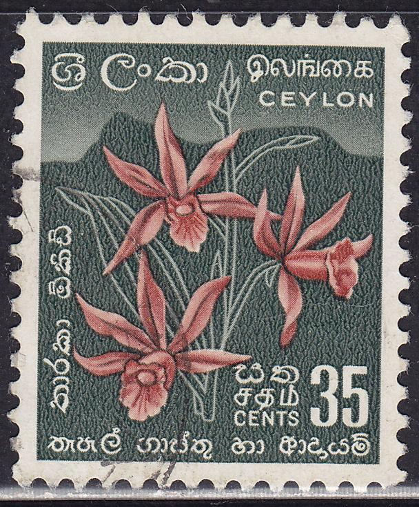 Ceylon 351  Star Orchid 1958