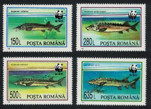Romania WWF Sturgeons 4v 1994 MNH SC#3954-3957 SG#5660-5663 MI#5034-5037