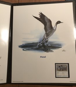 Canada 1988 Duck Stamp & Print Pintails Fleetwood Folder Don Balke Framable L37