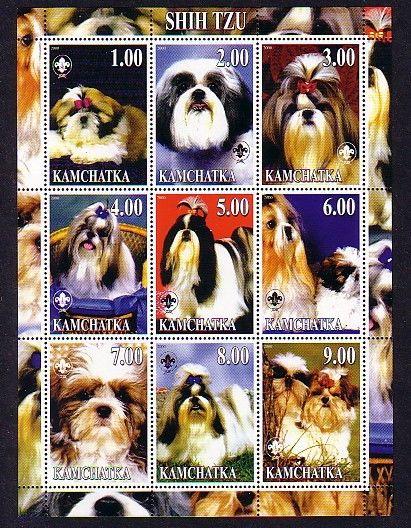 Kamchatka, 2000 Russian Local. Shih Tzu, Dogs sheet of 9. ^