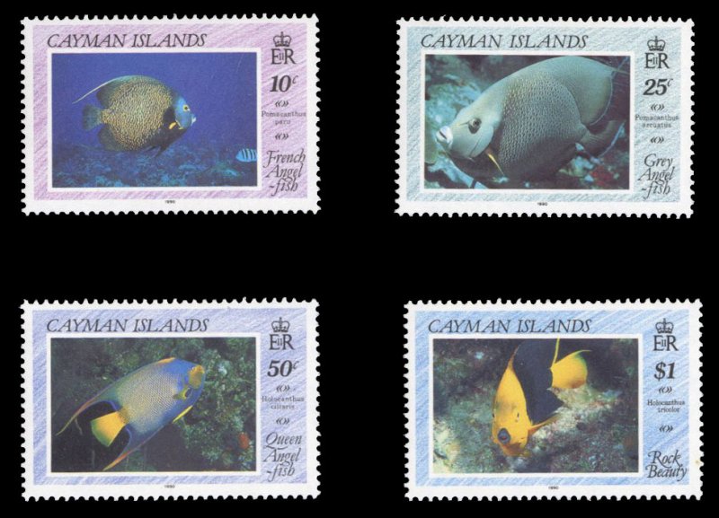 Cayman Islands #618-621 Cat$16.35, 1990 Fish, set of four, never hinged