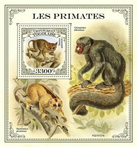 Togo 2021 MNH Wild Animals Stamps Primates Saki Monkeys Tarsiers 1v S/S