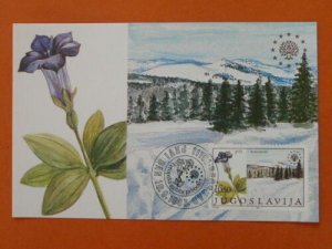 flower gentian mountains national park maximum card Yugoslavia