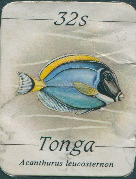 Tonga 1984 SG876 32s Powder-blue Sturgeonfish FU