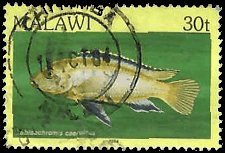 MALAWI   #435 USED (1)